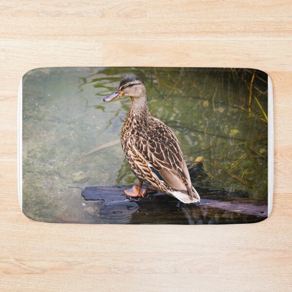 Item preview, Female Mallard Resting on Log  designed and sold by ASWildlifePhoto.
