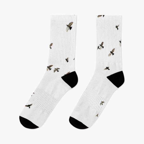 Item preview, Birds, sky, large groups of animals, a flock of birds, the whole body is like a bird in the sky hovering designed and sold by zenger2021.