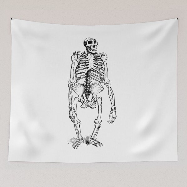 Item preview, Gorilla Skeleton Vintage Print designed and sold by PorcelaineGhost.