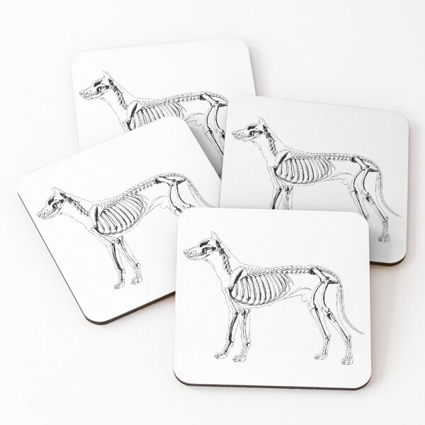 Item preview, Dog Skeleton Vintage Print designed and sold by PorcelaineGhost.