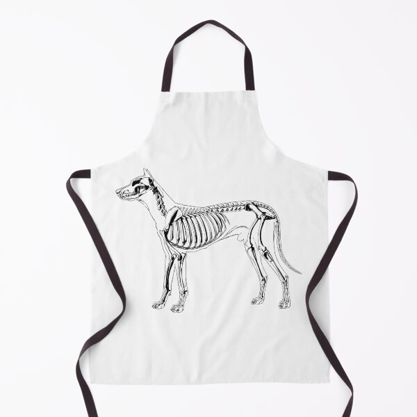 Item preview, Dog Skeleton Vintage Print designed and sold by PorcelaineGhost.