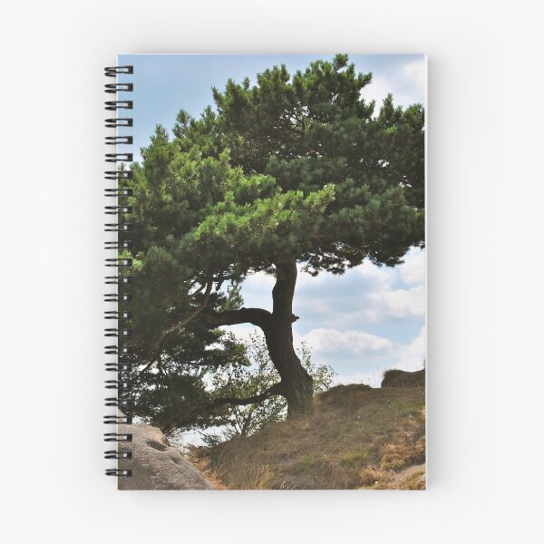 Item preview, Hillside Shade designed and sold by amewintersart.