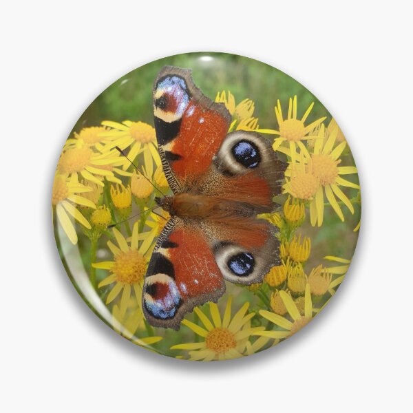 Item preview, Beautiful Peacock Butterfly Photograph designed and sold by Brimwood.