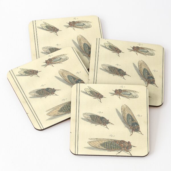 Item preview, Cicada Print designed and sold by Lloyd Library & Museum.