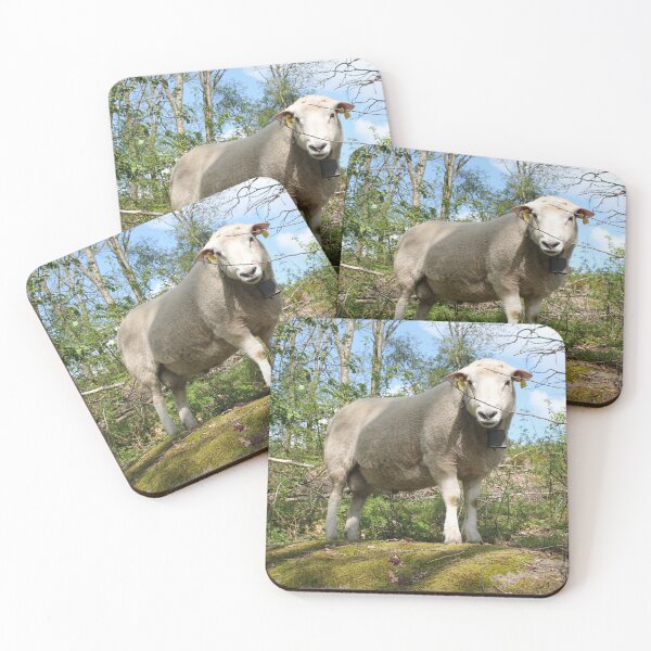 Item preview, Facts designed and sold by Step-it-up.