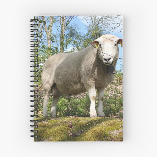 Item preview, Facts designed and sold by Step-it-up.