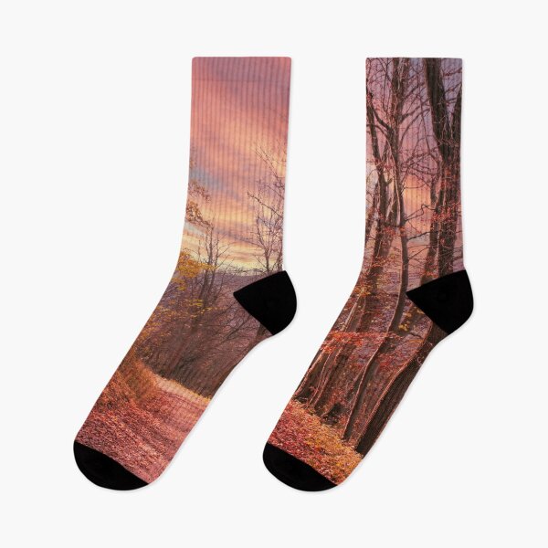 Item preview, Forest path in autumn, nature on the Swabian Alb designed and sold by Mauswohn.