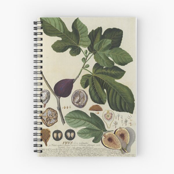 Item preview, Ficus Print designed and sold by Lloyd Library & Museum.
