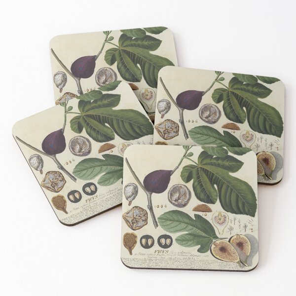 Item preview, Ficus Print designed and sold by Lloyd Library & Museum.