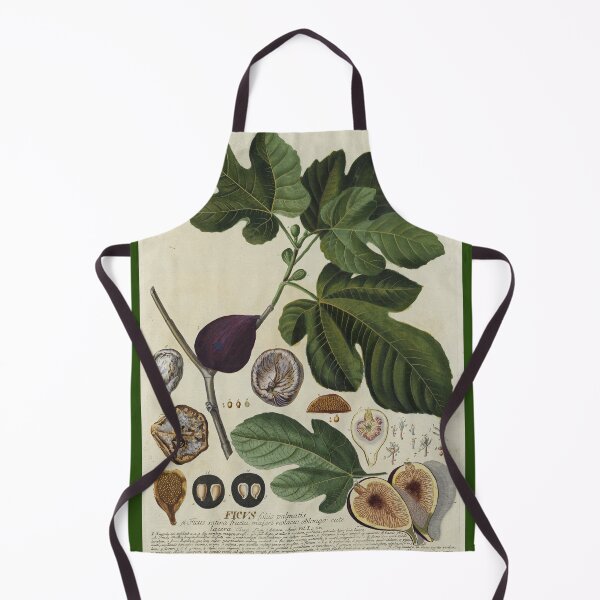 Item preview, Ficus Print designed and sold by Lloyd Library & Museum.