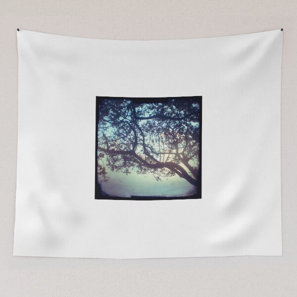 Item preview, Sunset trees ttv photograph designed and sold by gailgriggs.