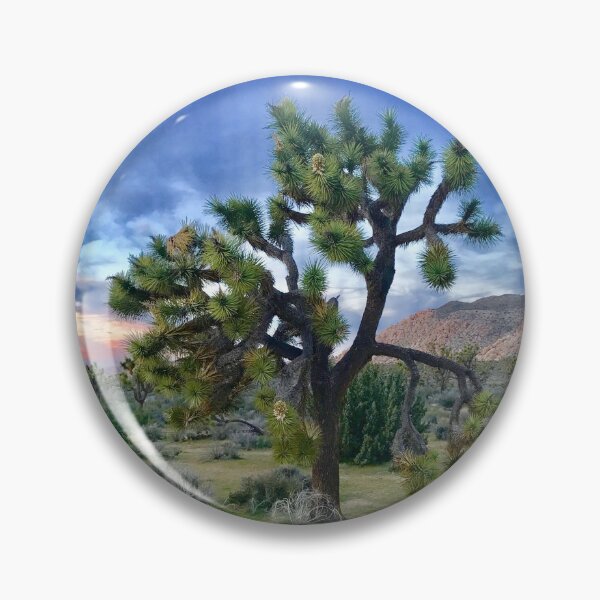 Item preview, Joshua Tree National Park, Palm Springs, California  designed and sold by newburyboutique.