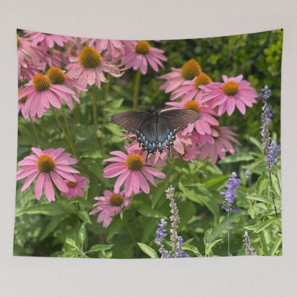 Item preview, Bella's Black Swallowtail designed and sold by EverydaySacred.