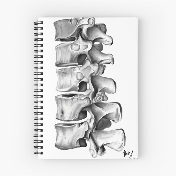 Item preview, spinal column commission designed and sold by Creative KICK.