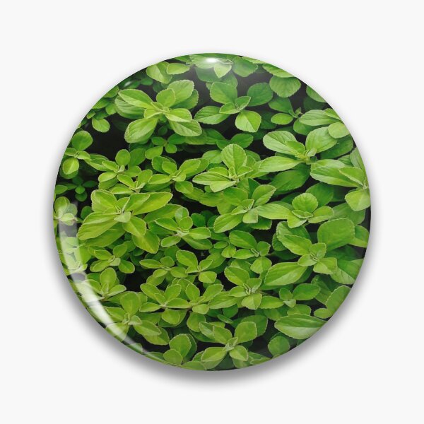 Item preview, Greenny designed and sold by SimaMall.