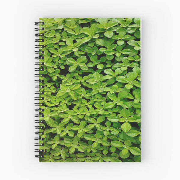 Aperçu de l'œuvre Greenny créée et vendue par SimaMall.