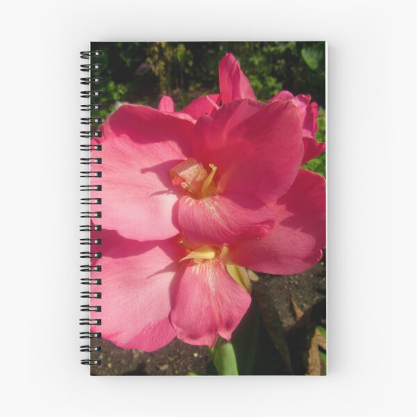 Item preview, Beautiful pink flower designed and sold by Shulie1.