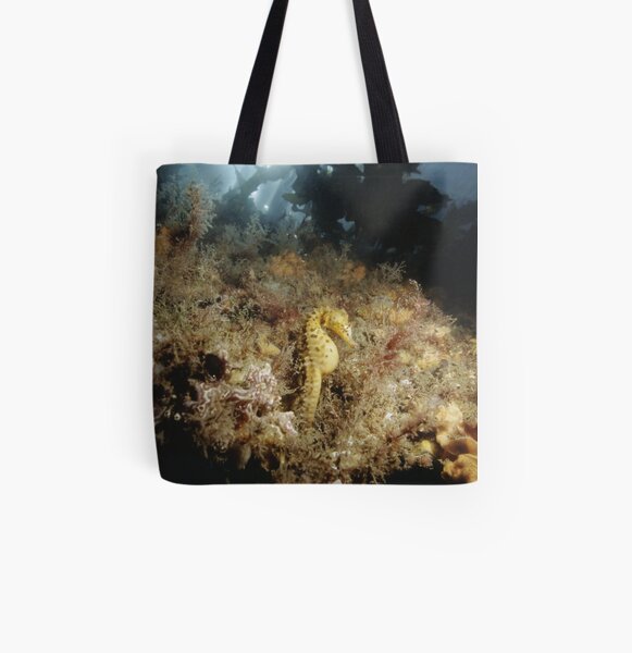 Big-bellied Seahorse, Balmoral Beach All Over Print Tote Bag