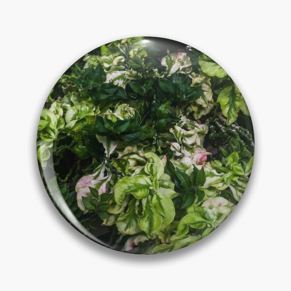 Item preview, Plants designed and sold by Thsid.