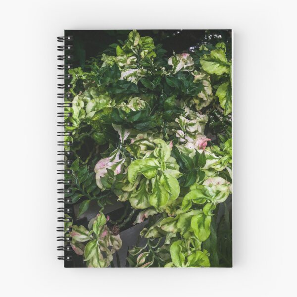 Item preview, Plants designed and sold by Thsid.