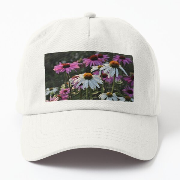 Sonnenhut-Mix Dad Hat