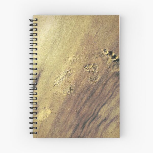 Item preview, Have's vs Have Not's designed and sold by Steve Walser.