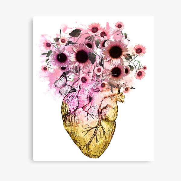 Human Heart And Pink Sunflowers Daisies Anatomy Illustration Drawing Human Heart With Sweet 9067