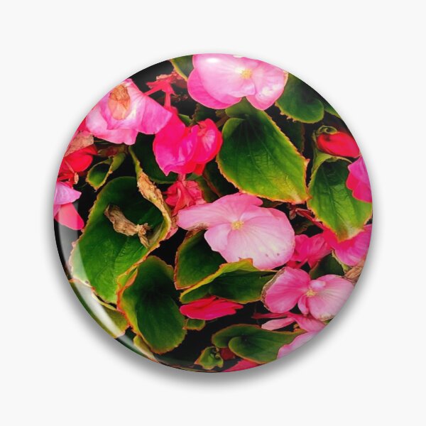 Item preview, Pink flowers in a park in Prague designed and sold by Silvina  Cupayolo.