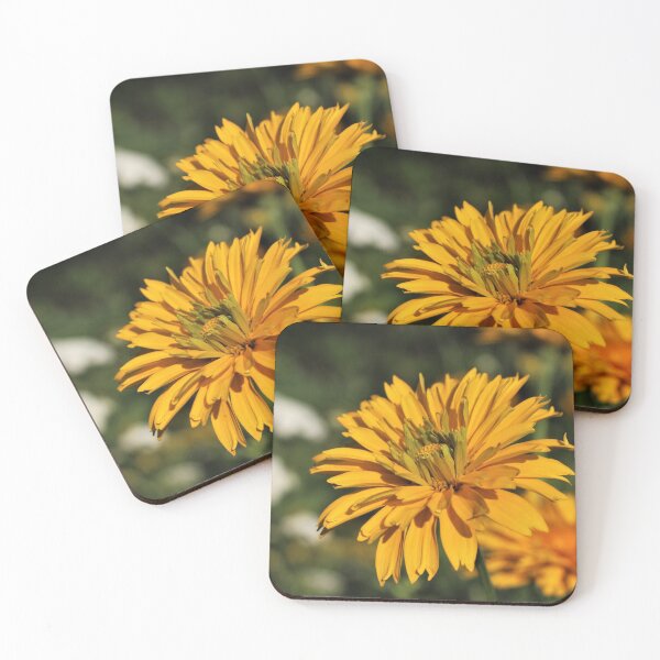 Item preview, Venus False Sunflower (Heliopsis helianthoides 'Venus') designed and sold by Kathleen Daley.