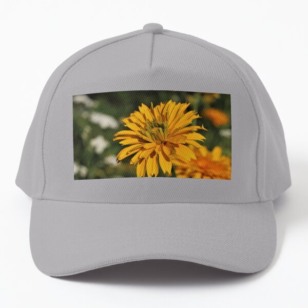 Venus False Sunflower (Heliopsis helianthoides 'Venus') Baseball Cap