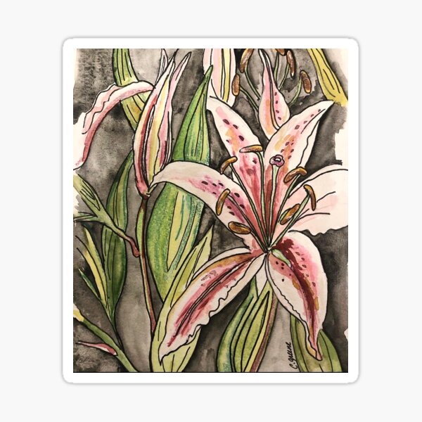 Stargazer Sticker