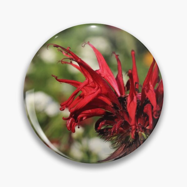 Item preview, Scarlet Beebalm (Monarda didyma L.) designed and sold by Kathleen Daley.
