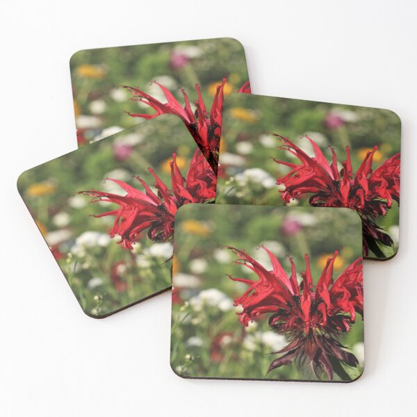 Item preview, Scarlet Beebalm (Monarda didyma L.) designed and sold by Kathleen Daley.