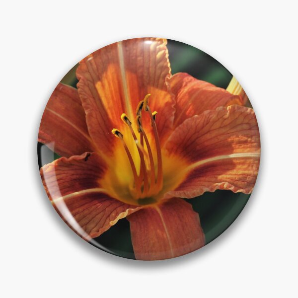 Item preview, Orange Daylily (Hemerocallis fulva) designed and sold by Kathleen Daley.