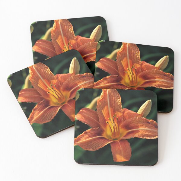 Item preview, Orange Daylily (Hemerocallis fulva) designed and sold by Kathleen Daley.