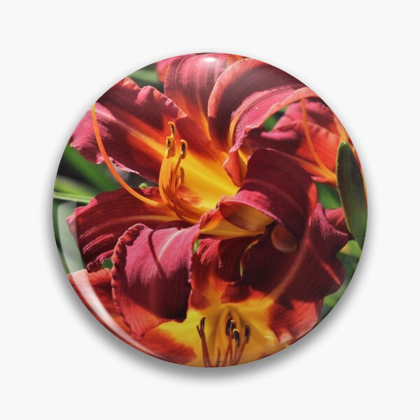 Item preview, Stafford Daylily (Hemerocallis 'Stafford') designed and sold by Kathleen Daley.