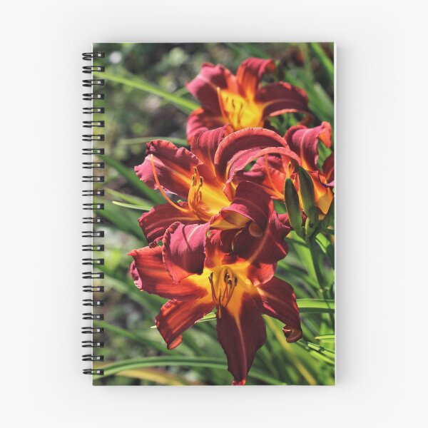 Item preview, Stafford Daylily (Hemerocallis 'Stafford') designed and sold by Kathleen Daley.