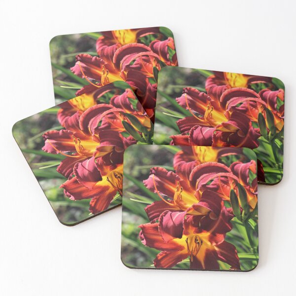 Item preview, Stafford Daylily (Hemerocallis 'Stafford') designed and sold by Kathleen Daley.