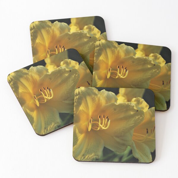 Item preview, Happy Returns Daylily (Hemerocallis ‘Happy Returns’) designed and sold by Kathleen Daley.