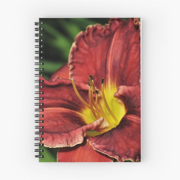 Item preview, Red Daylily (Hemerocallis) designed and sold by Kathleen Daley.