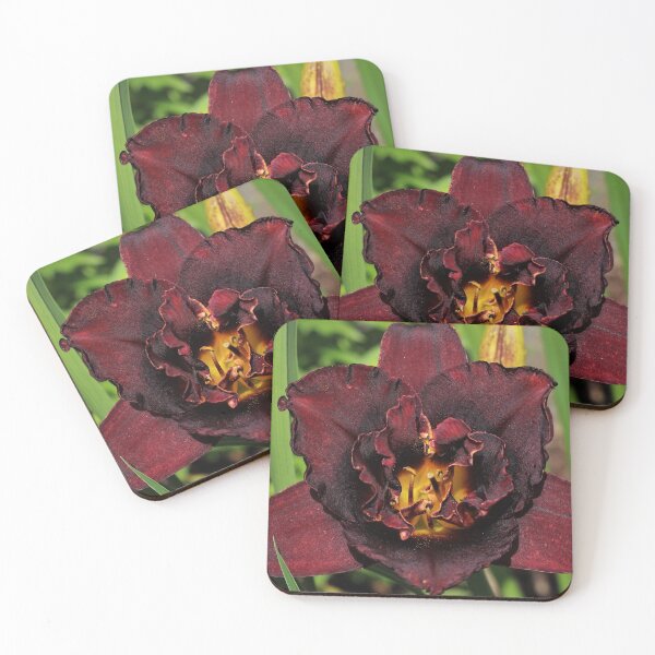 Item preview, Burgundy Daylily (Hemerocallis) designed and sold by Kathleen Daley.