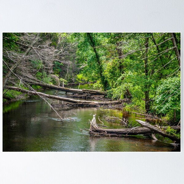 Item preview, Quinebaug River Sturbridge MA designed and sold by Rebecca Bryson.