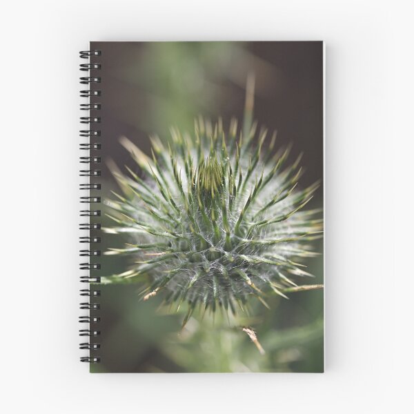 Item preview, Round Green Thistle Bud designed and sold by Joy Watson - Natural Light Photography .