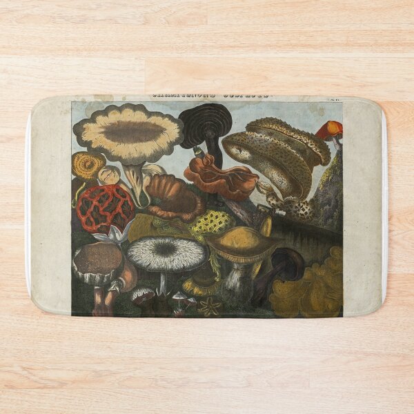 Item preview, Mushroom Print designed and sold by Lloyd Library & Museum.