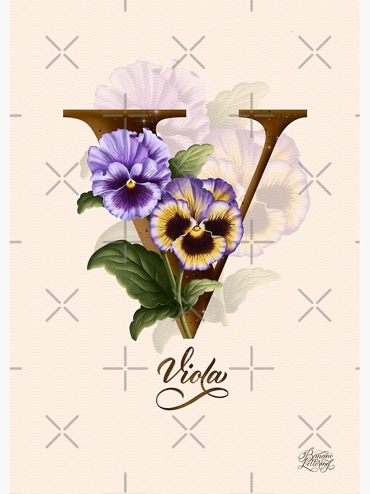 "The letter V. Viola. Flower alphabet." Poster for Sale by