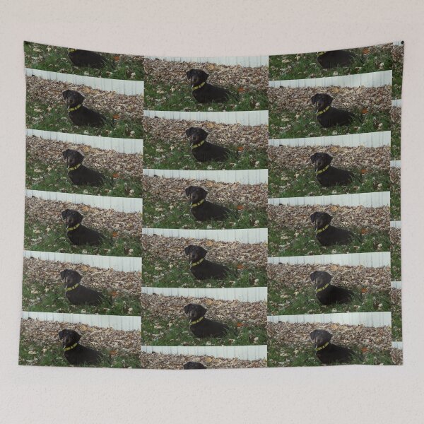 Item preview, Dog In Fall  designed and sold by TKUsitalo.