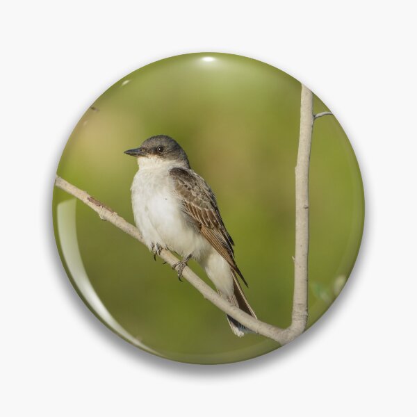 Item preview, Eastern Kingbird  designed and sold by birdsofthePNW.