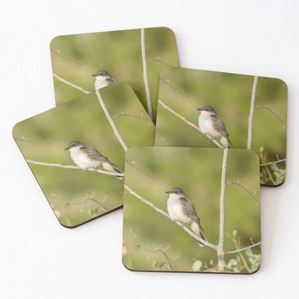 Item preview, Eastern Kingbird  designed and sold by birdsofthePNW.