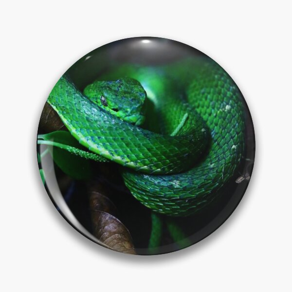 Item preview, Wild venomous snake  designed and sold by CostaRicaNature.