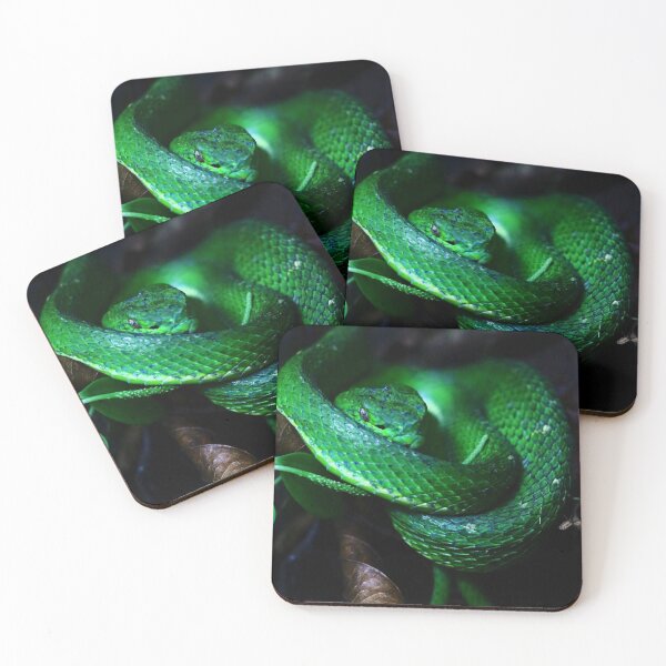 Item preview, Wild venomous snake  designed and sold by CostaRicaNature.